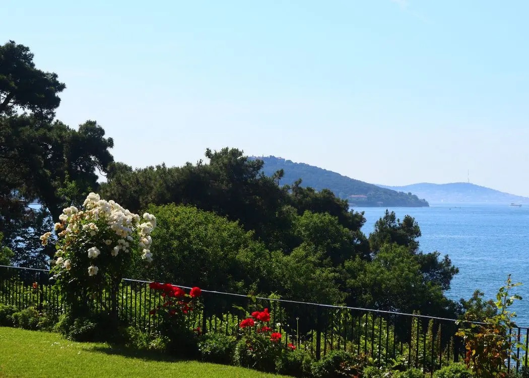 View over Büyükada's pine-lined coast toward the neighboring islands