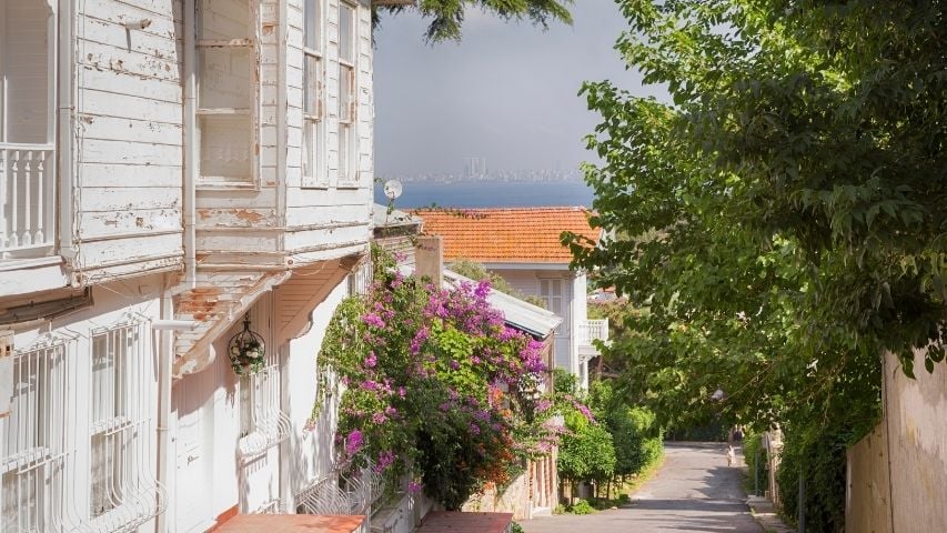 A quiet Heybeliada lane lined with Ottoman-era wooden mansions